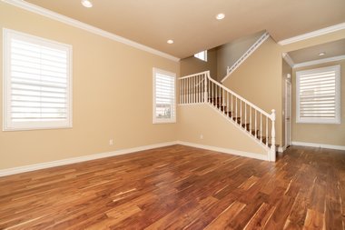 Madrona Painter Local Madrona painter in WA near 98122